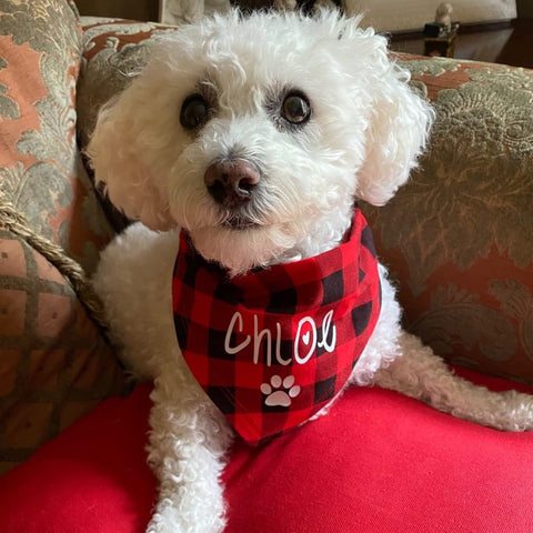 Bandana personalizada para perros, diseños navideños